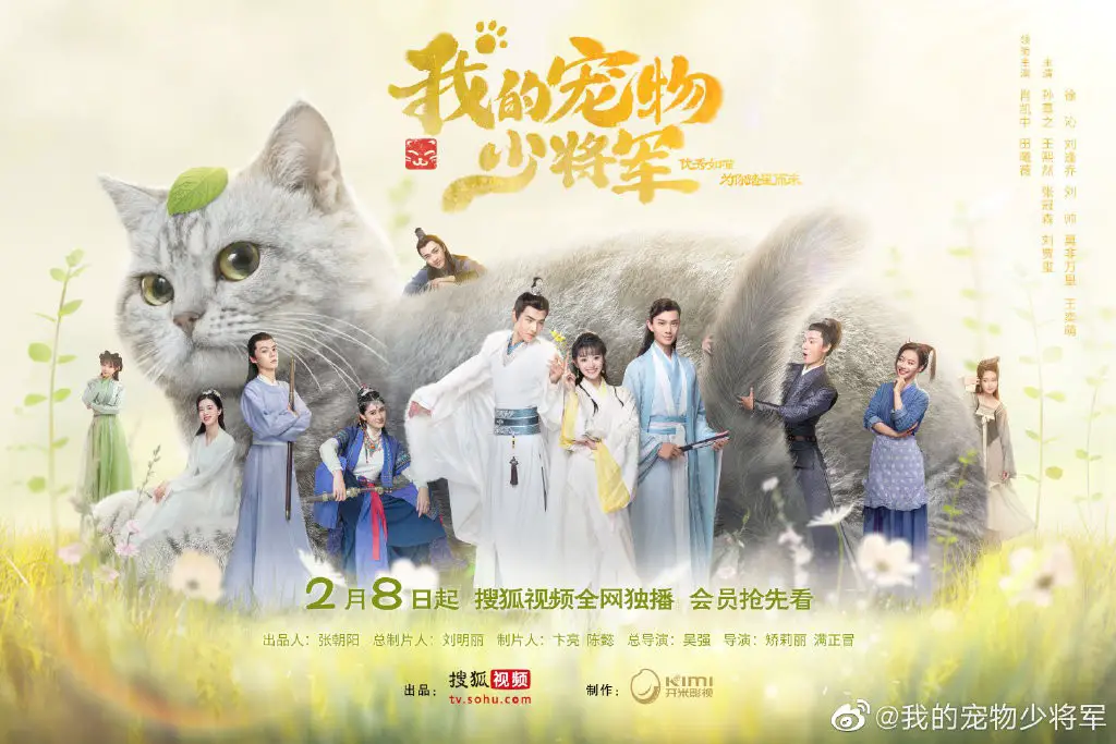 Be My Cat