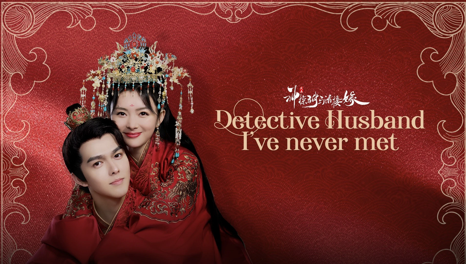 Detective Husband I’ve Never Met