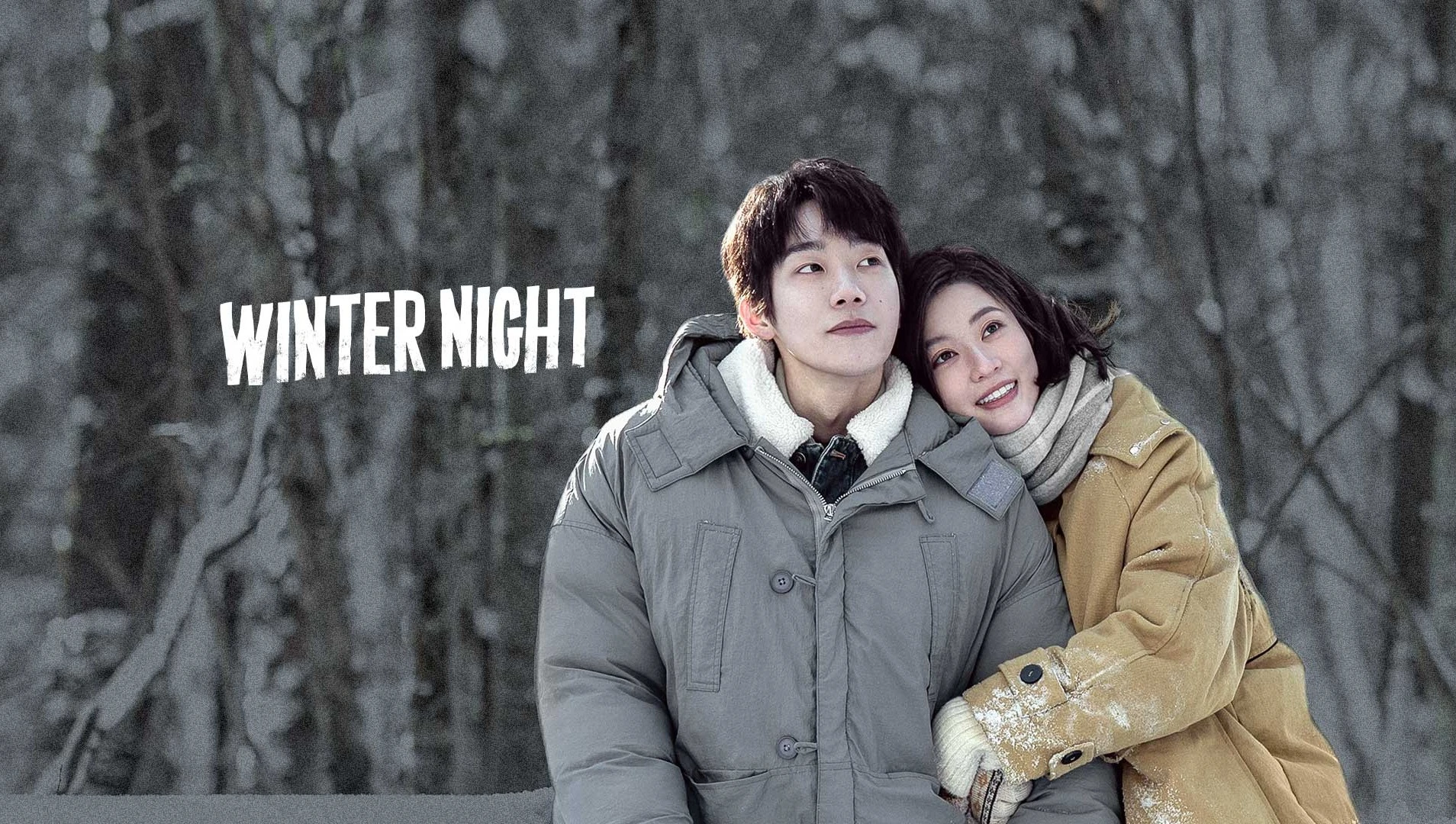 Winter Night